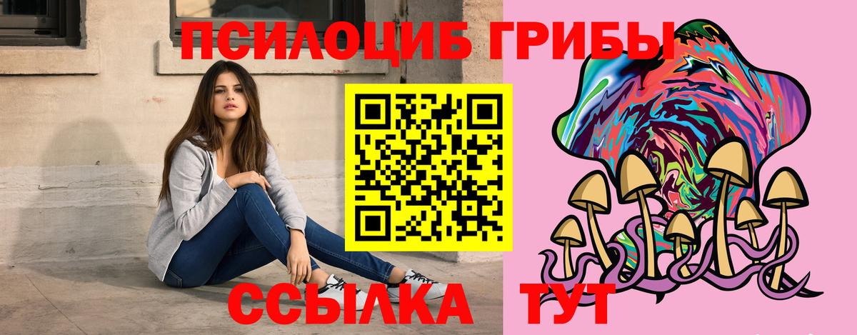 Псилоцибиновые грибы прущие грибы Краснознаменск