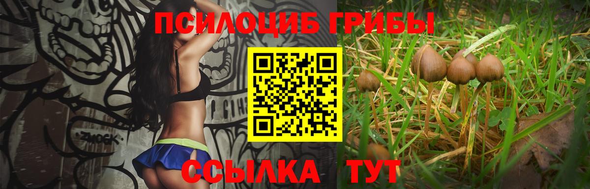 Галлюциногенные грибы прущие грибы  Вход с VPN  Краснознаменск 